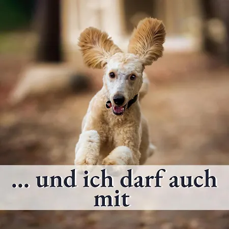 아파트 Gluecks-quartier 