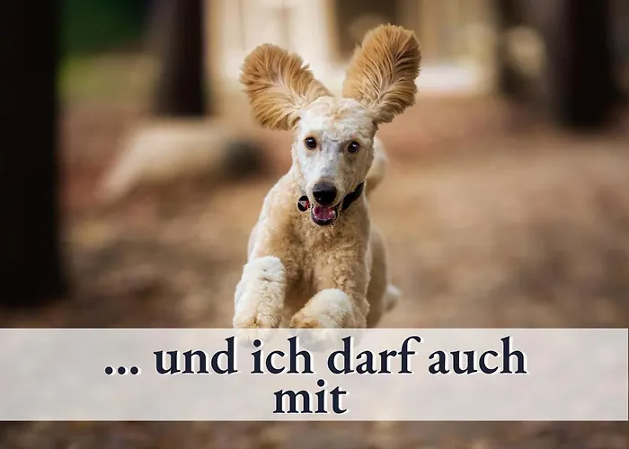 Lägenhet Gluecks-quartier 